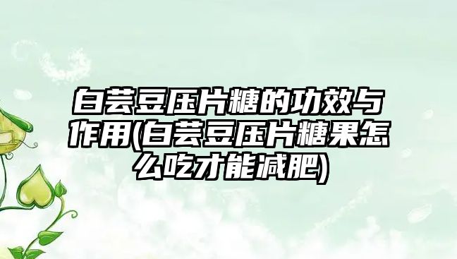 白蕓豆壓片糖的功效與作用(白蕓豆壓片糖果怎么吃才能減肥)